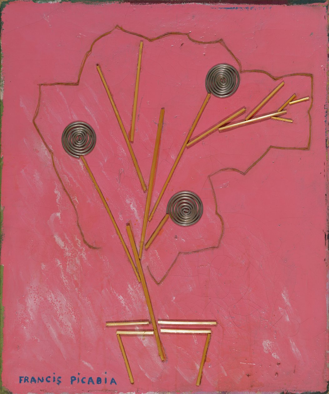 Vase of Flowers, c.1924-25 by Francis Picabia