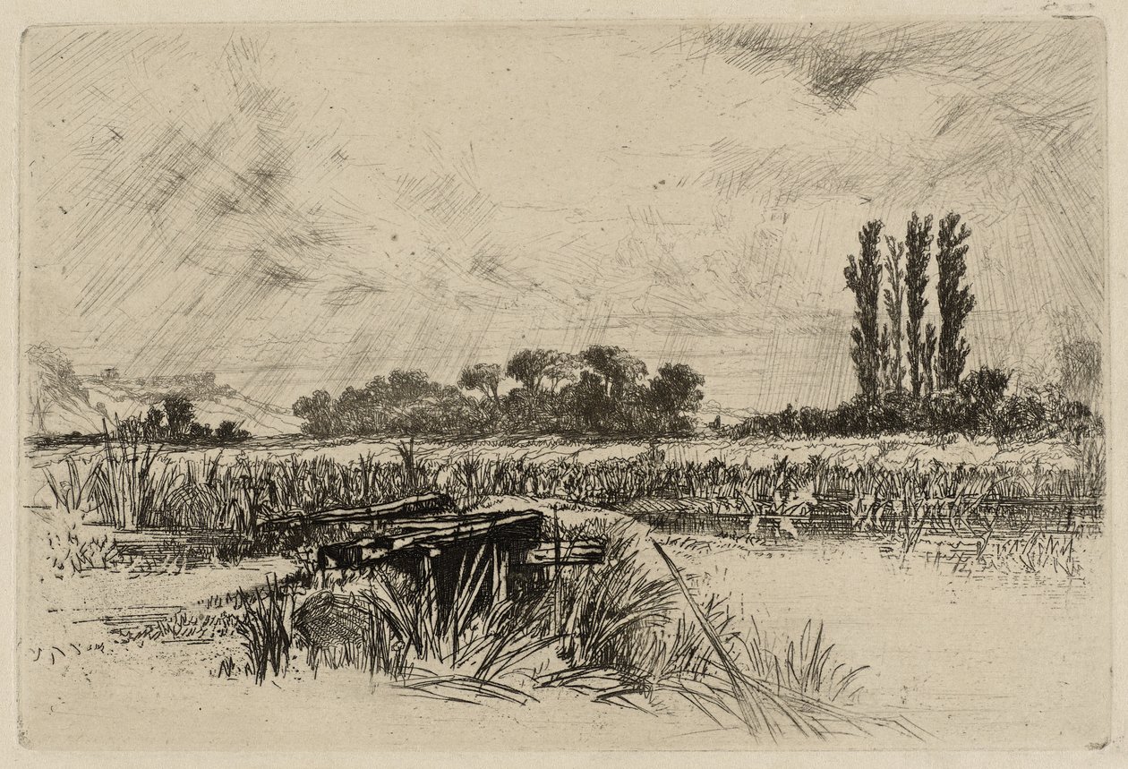 A Water Meadow by Francis Seymour Haden