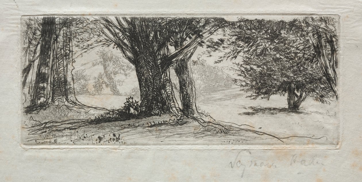 Holly Field by Francis Seymour Haden