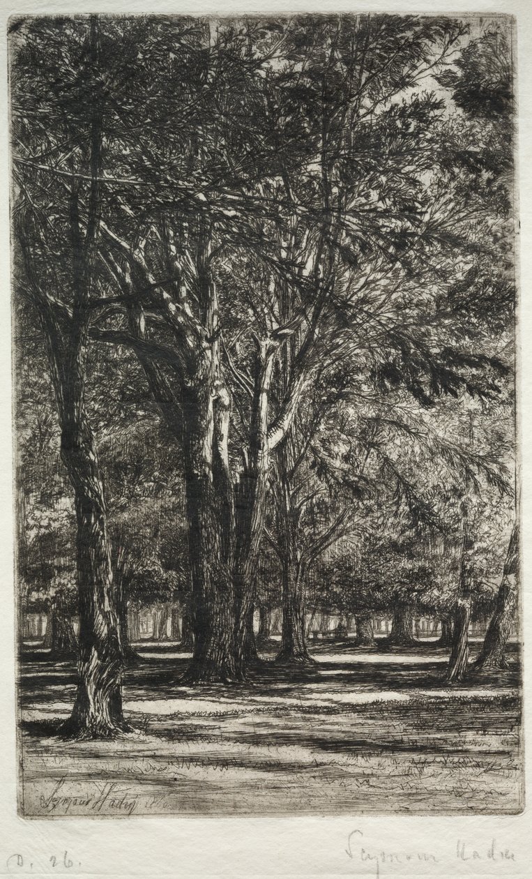 Kensington Gardens (The Larger Plate) by Francis Seymour Haden