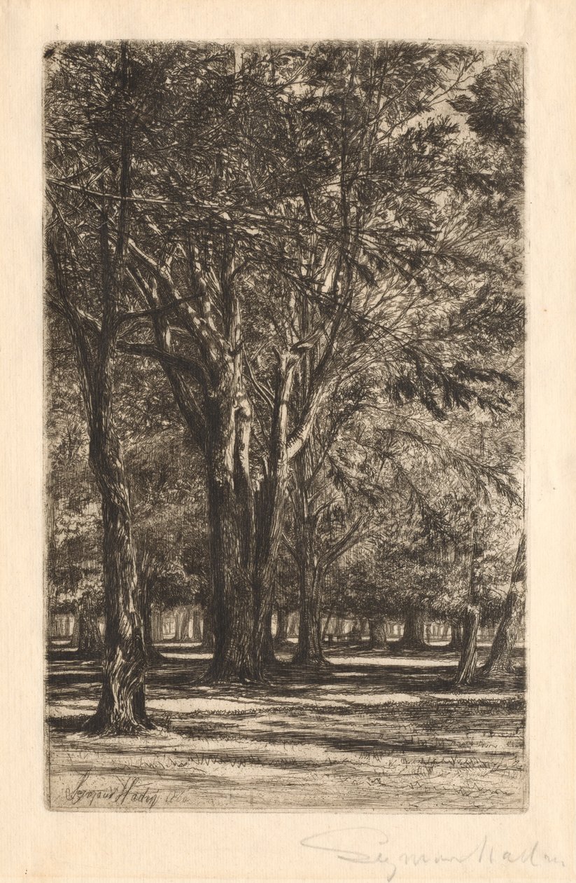 Kensington Gardens, No. 2 Large Plate by Francis Seymour Haden