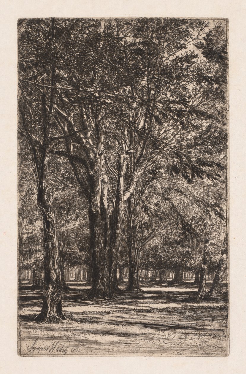 Kensington Gardens, No. 2 The Larger Plate, 1860 by Francis Seymour Haden
