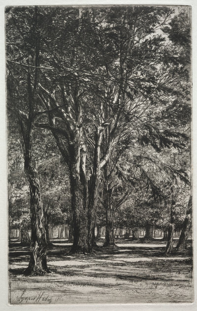 Kensington Gardens The Large Plate, 1860 by Francis Seymour Haden