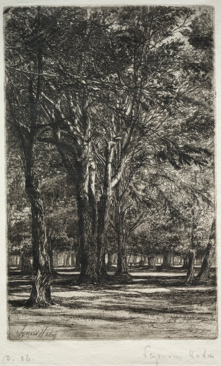 Kensington Gardens The Larger Plate by Francis Seymour Haden