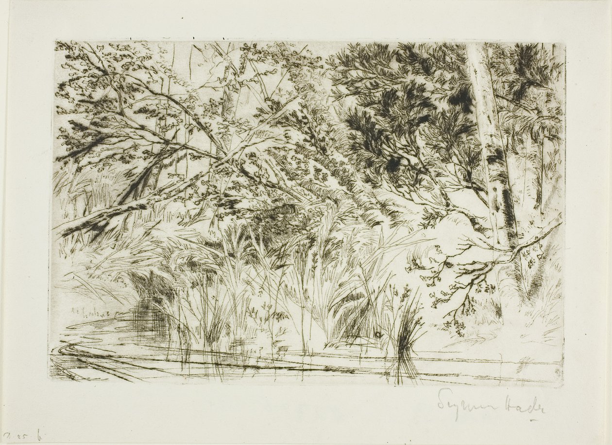 Mouth of a Brook, No. II by Francis Seymour Haden