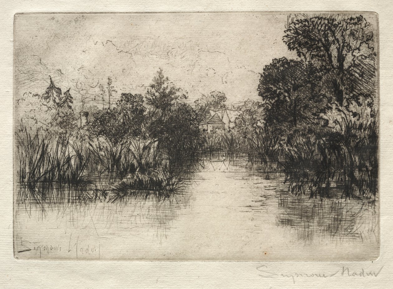 Shere Mill Pond (A Small Study) by Francis Seymour Haden