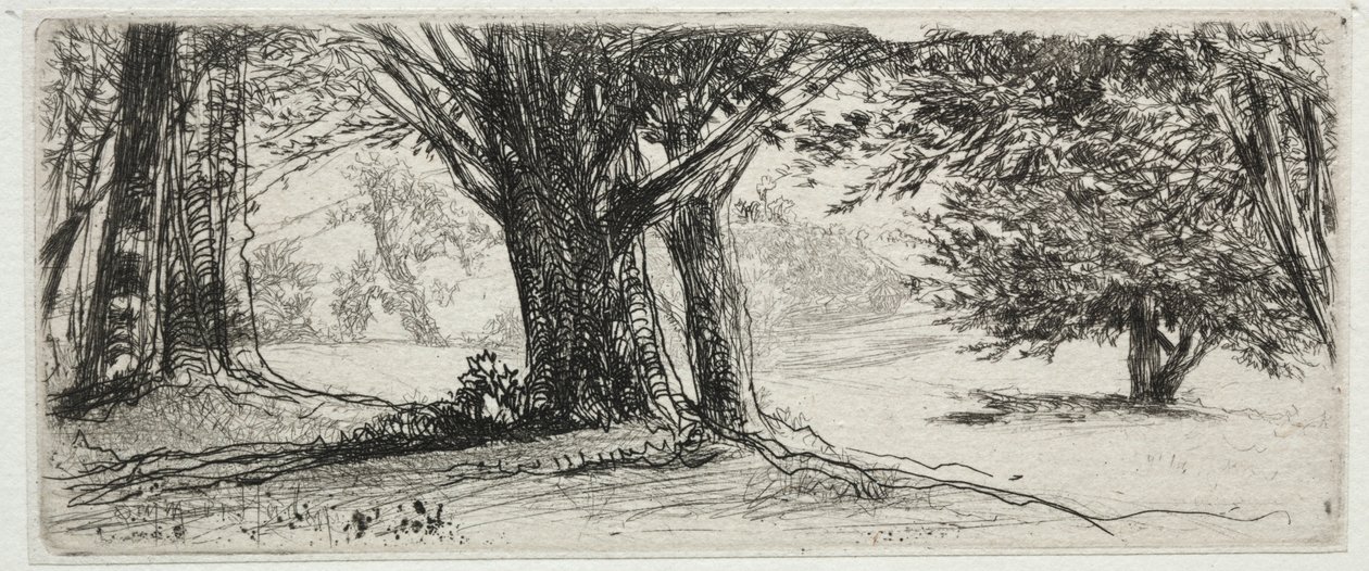 The Holly Field by Francis Seymour Haden