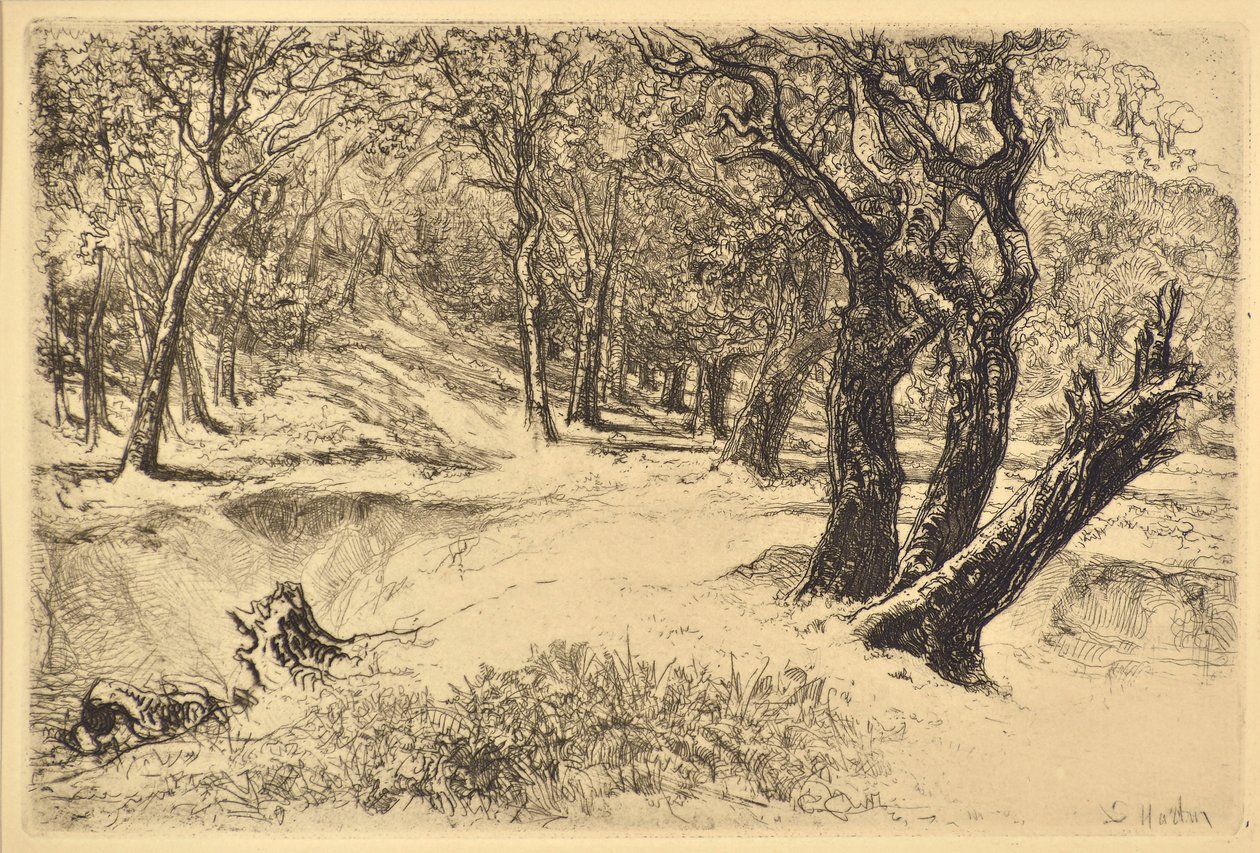 The Three Sisters by Francis Seymour Haden