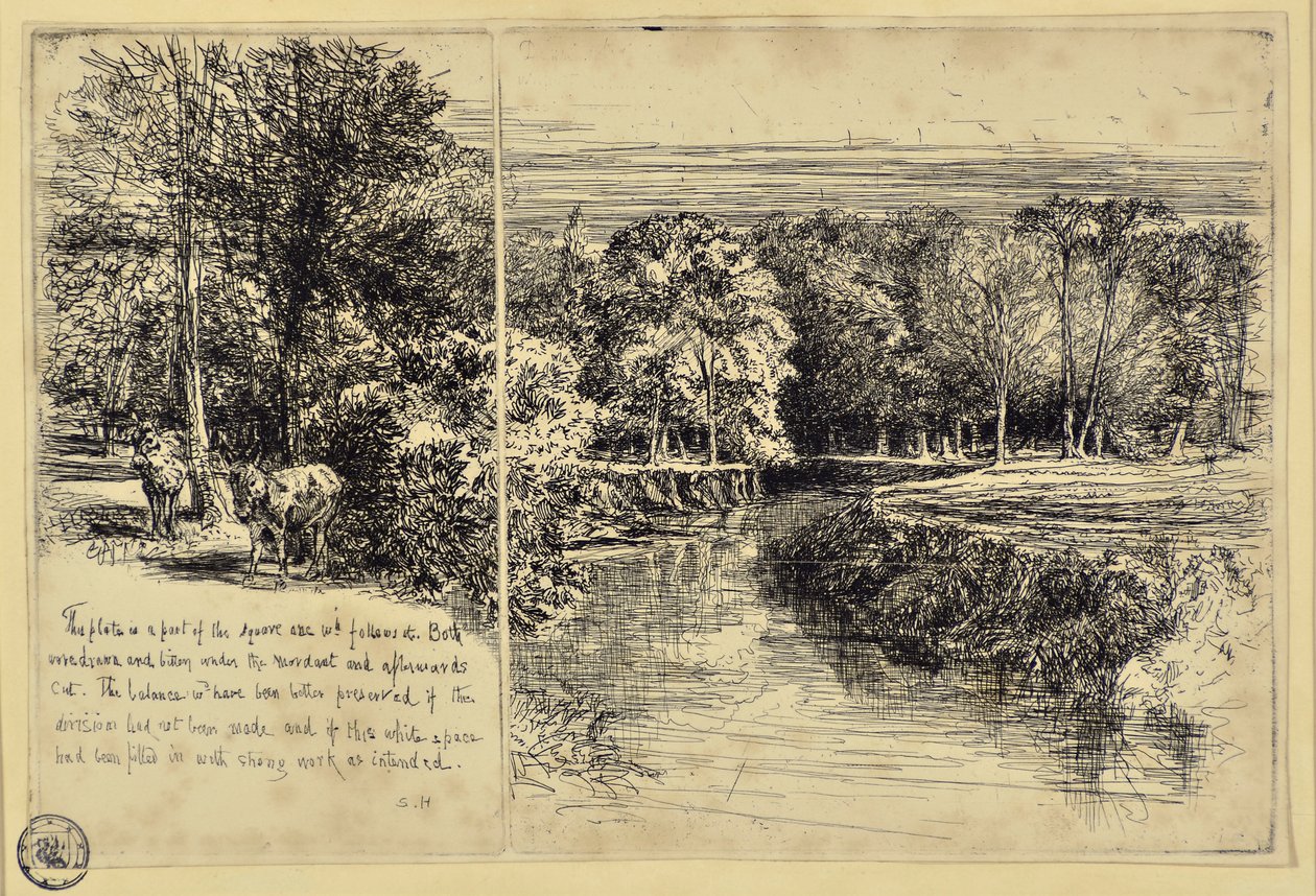 The Two Asses and Dundrum River by Francis Seymour Haden