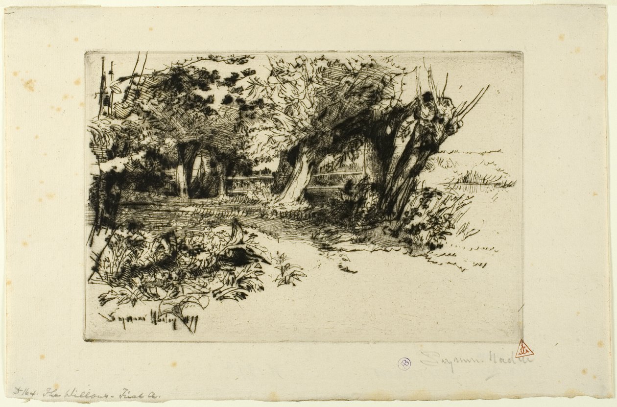 The Willows by Francis Seymour Haden