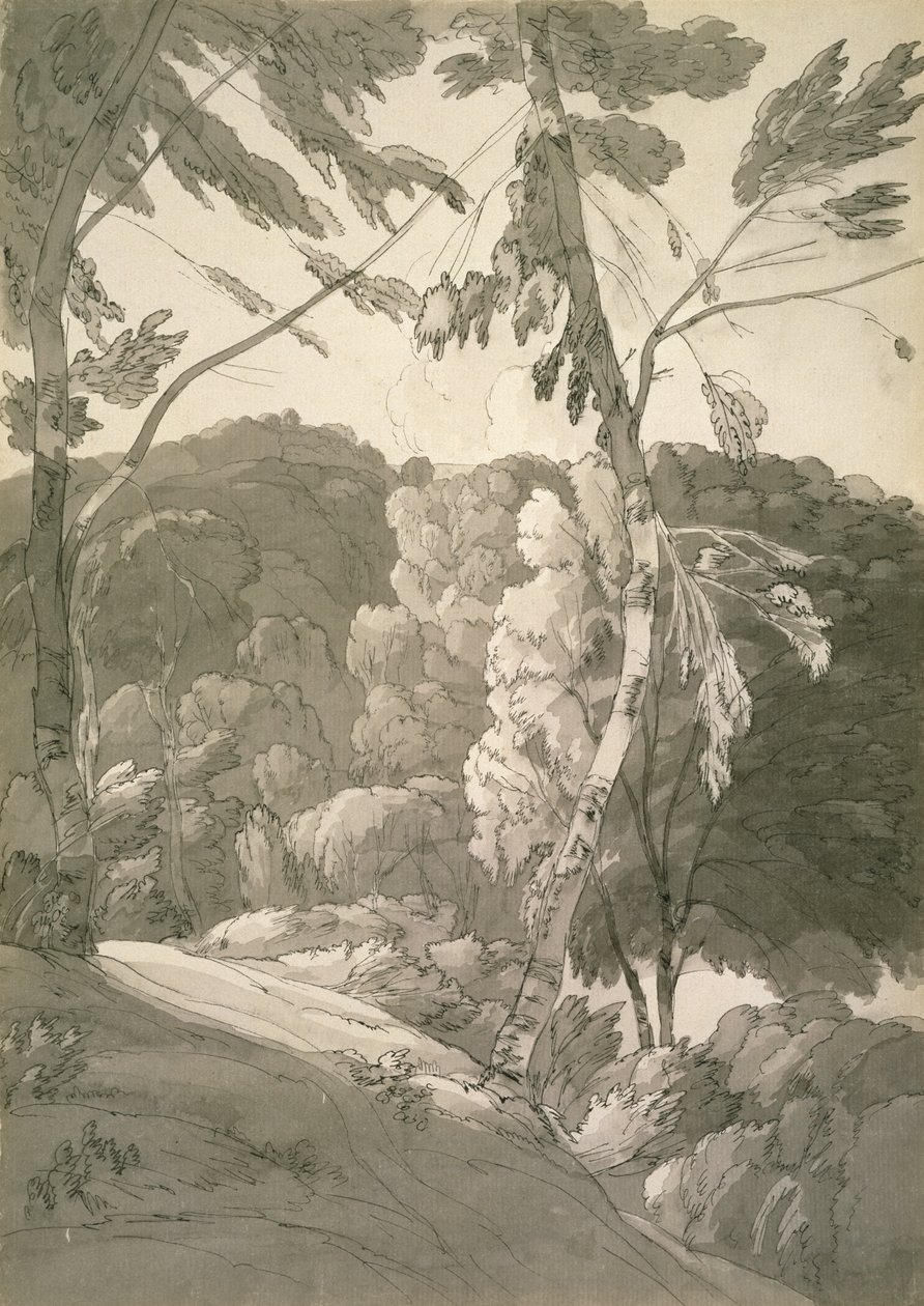 No.1091 A Wooded Landscape (A Scene at Indinowle) 1783 by Francis Towne