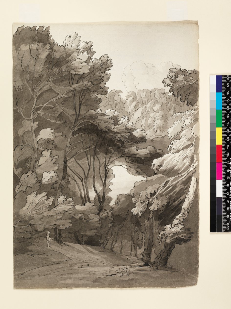 A Wooded Landscape by Francis Towne