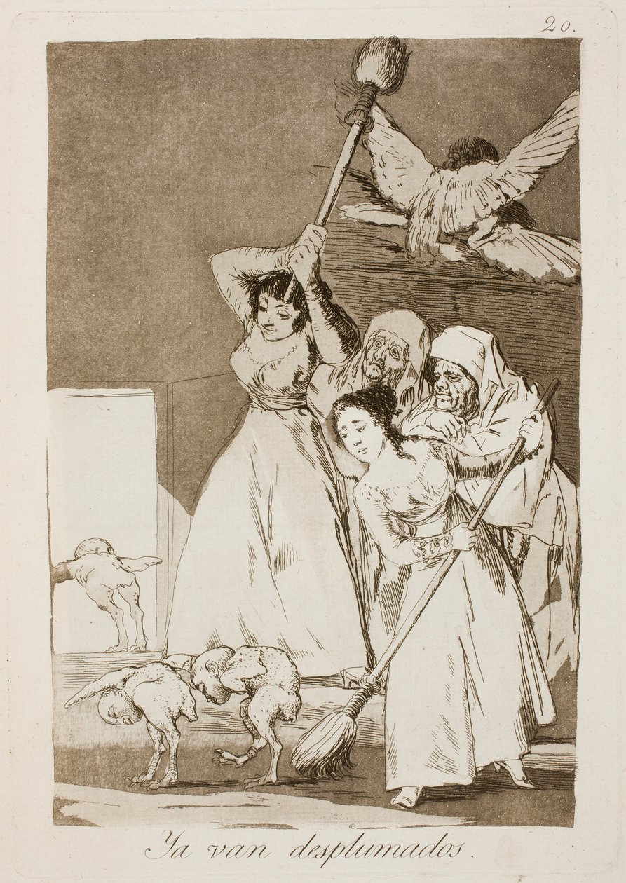 There They Go Plucked by Francisco de Goya