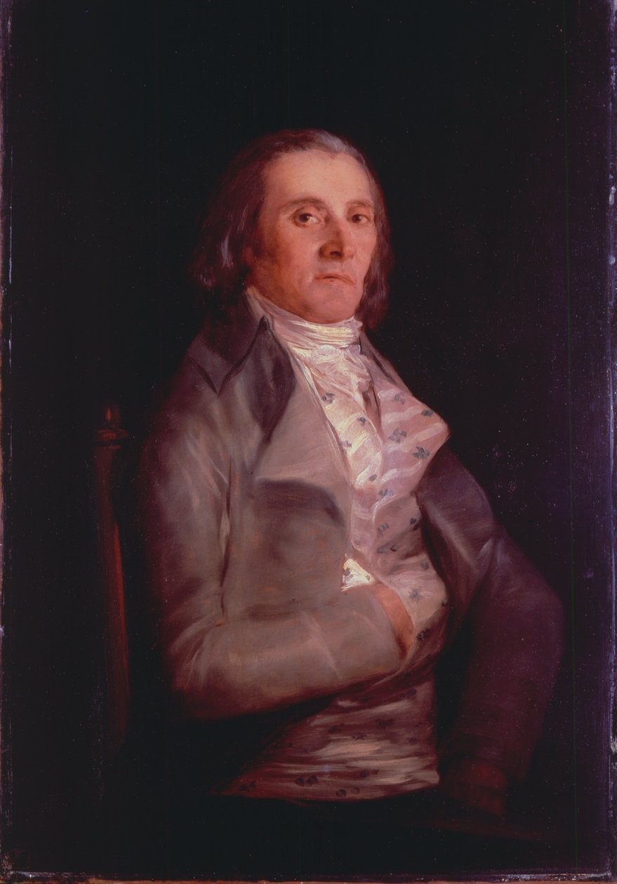 Don Andres del Peral, 1797-8 by Francisco de Goya