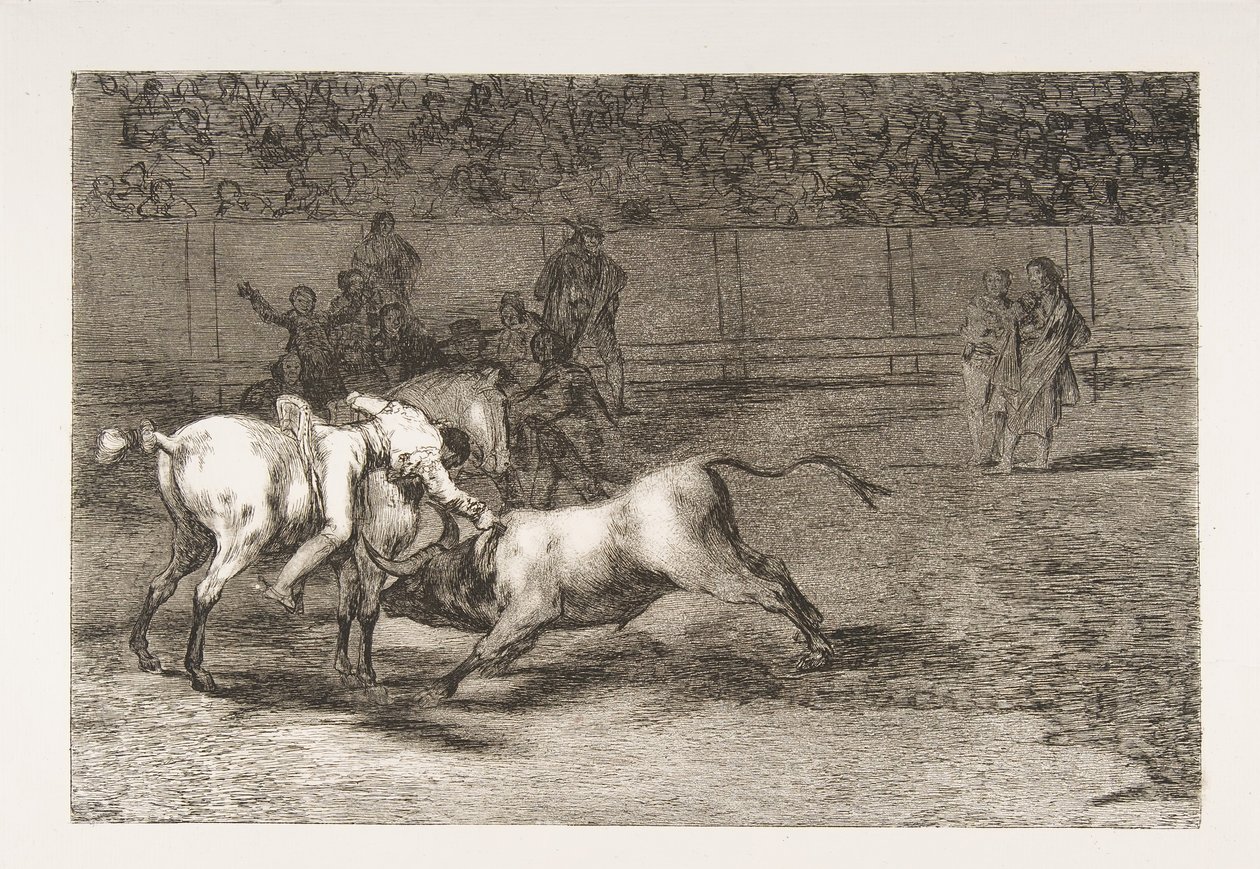 Plate 23 from the 