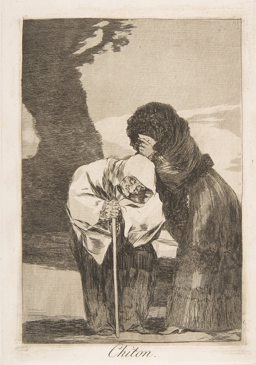Plate 28 from 