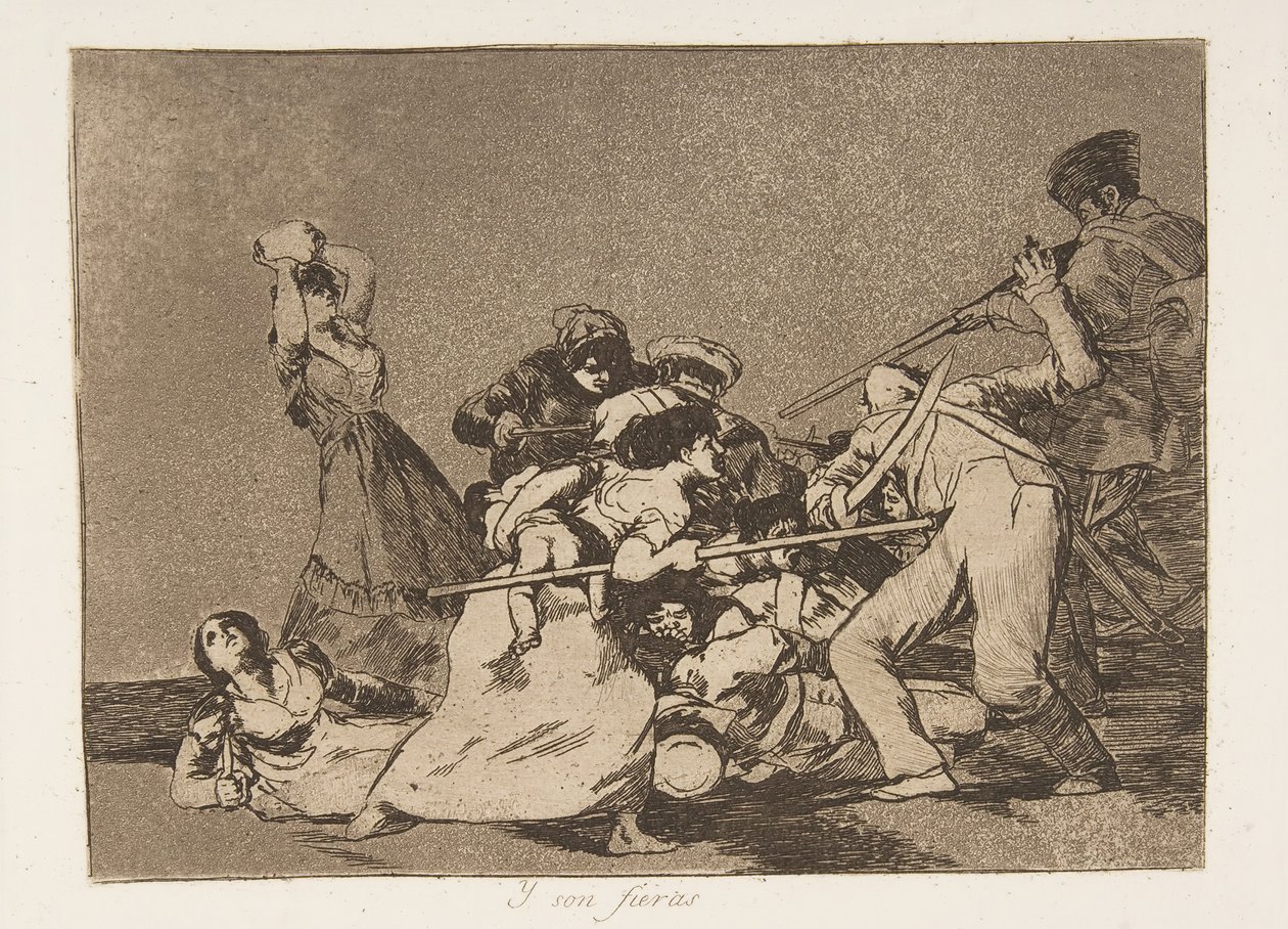 Plate 5 from 