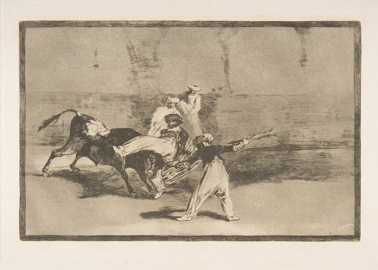Plate 8 from the 