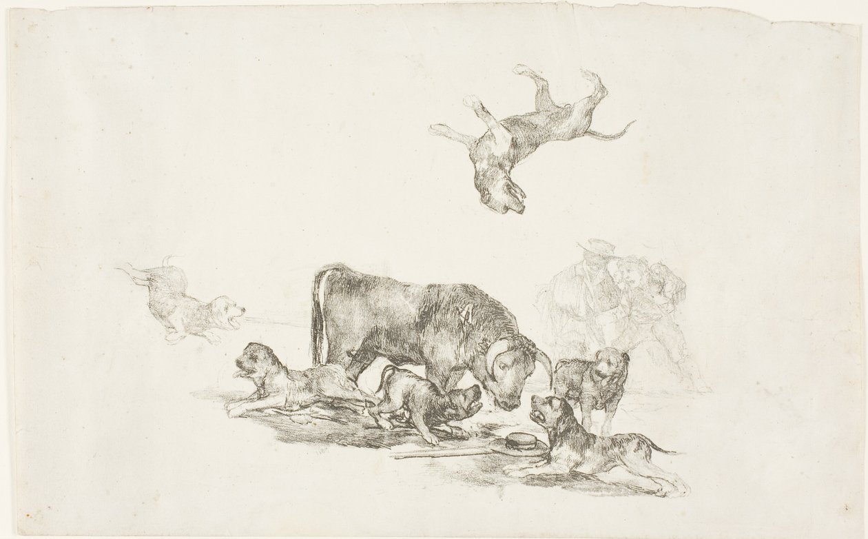 Bull Attacked by Dogs by Francisco Jose de Goya y Lucientes