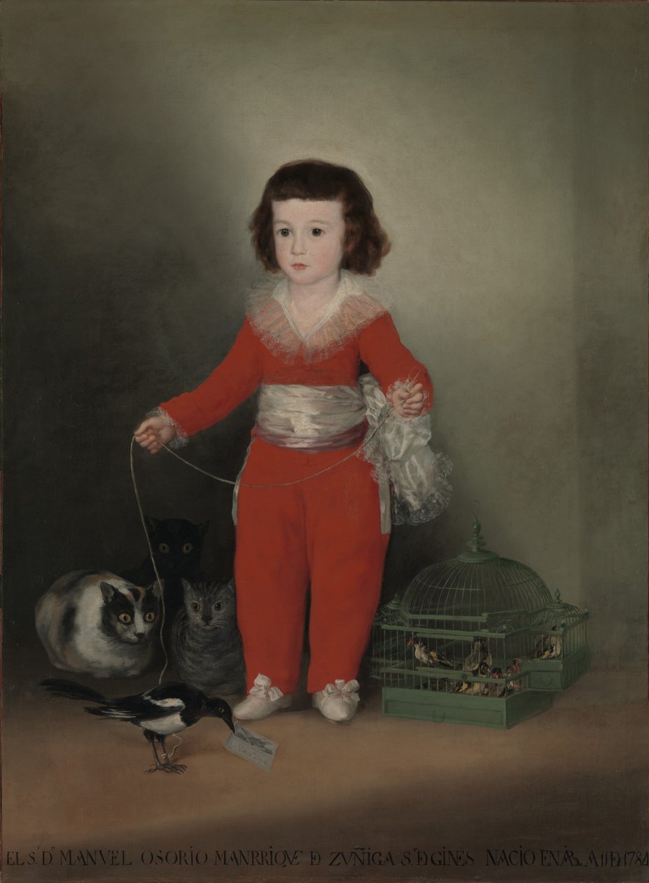 Don Manuel Osorio Manrique de Zuniga by Francisco de Goya