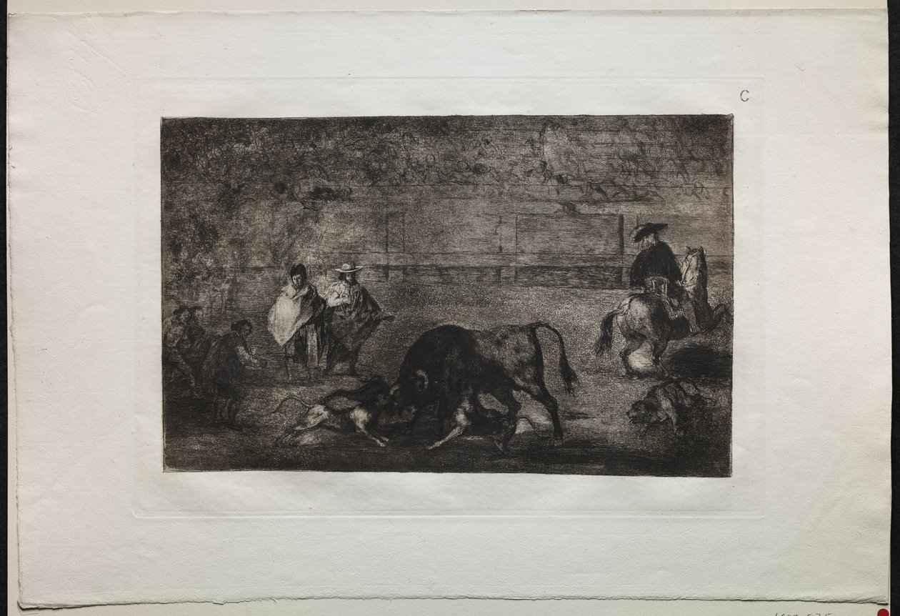 Bullfights: The Dog Let Loose on the Bull by Francisco de Goya