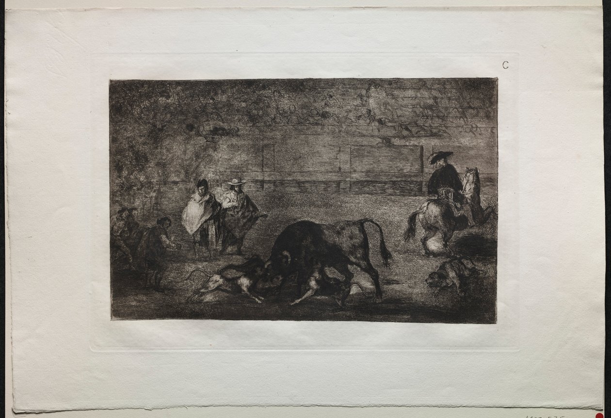 Bullfights: The Dog Let Loose on the Bull by Francisco de Goya