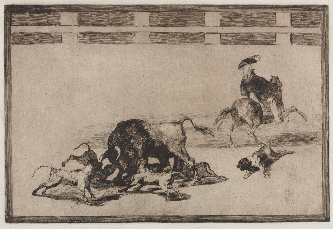 Bullfights: They Loose Dogs on the Bull by Francisco de Goya