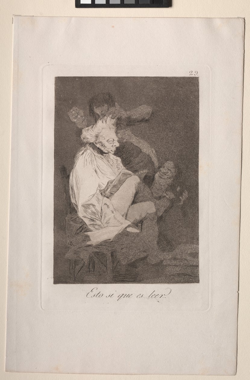 That Certainly is Being Able to Read by Francisco de Goya