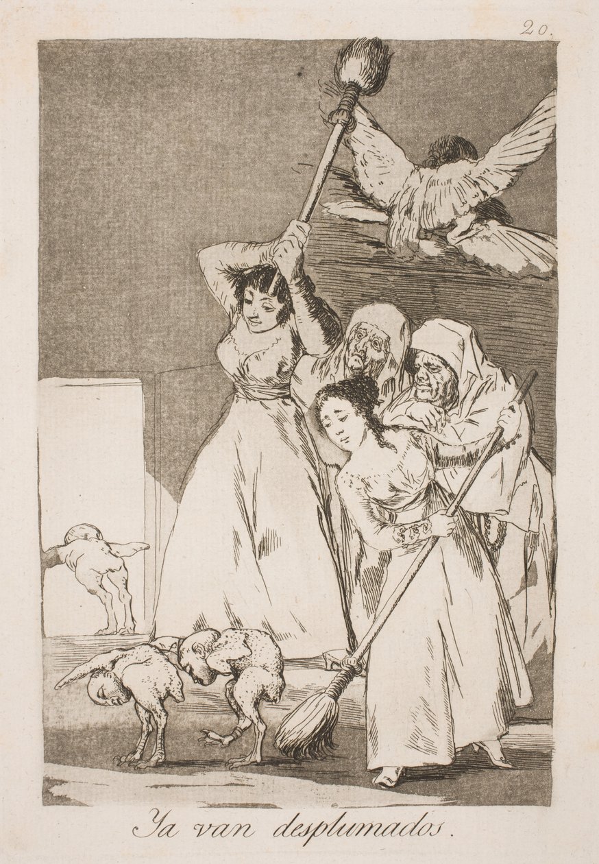 Here They Are Plucked of All Feathers by Francisco de Goya