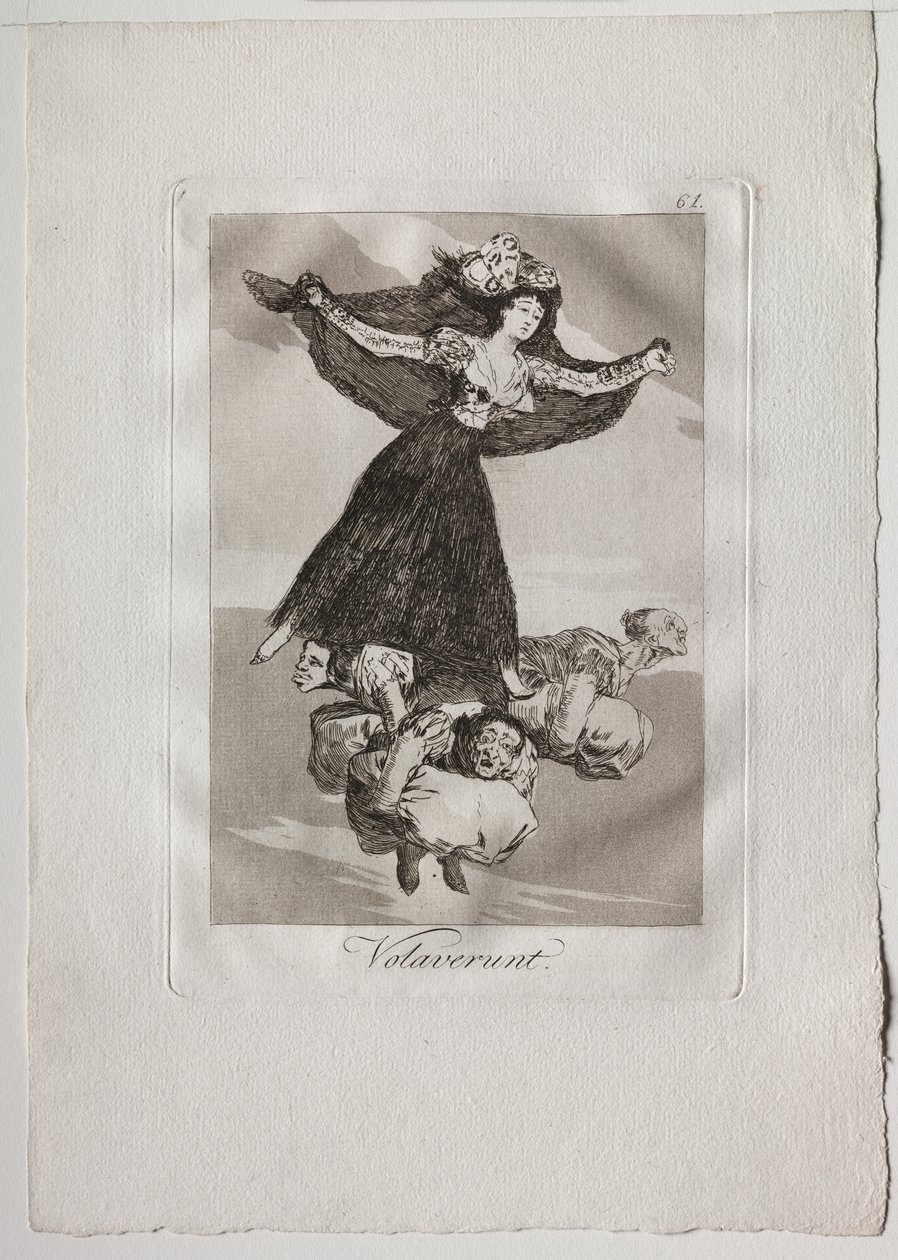 Eighty Caprices: They Have Flown by Francisco de Goya