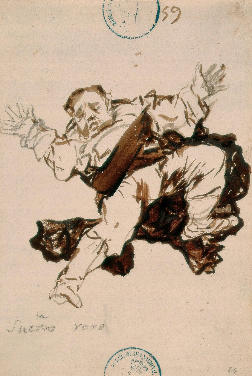 Strange Dream by Francisco de Goya