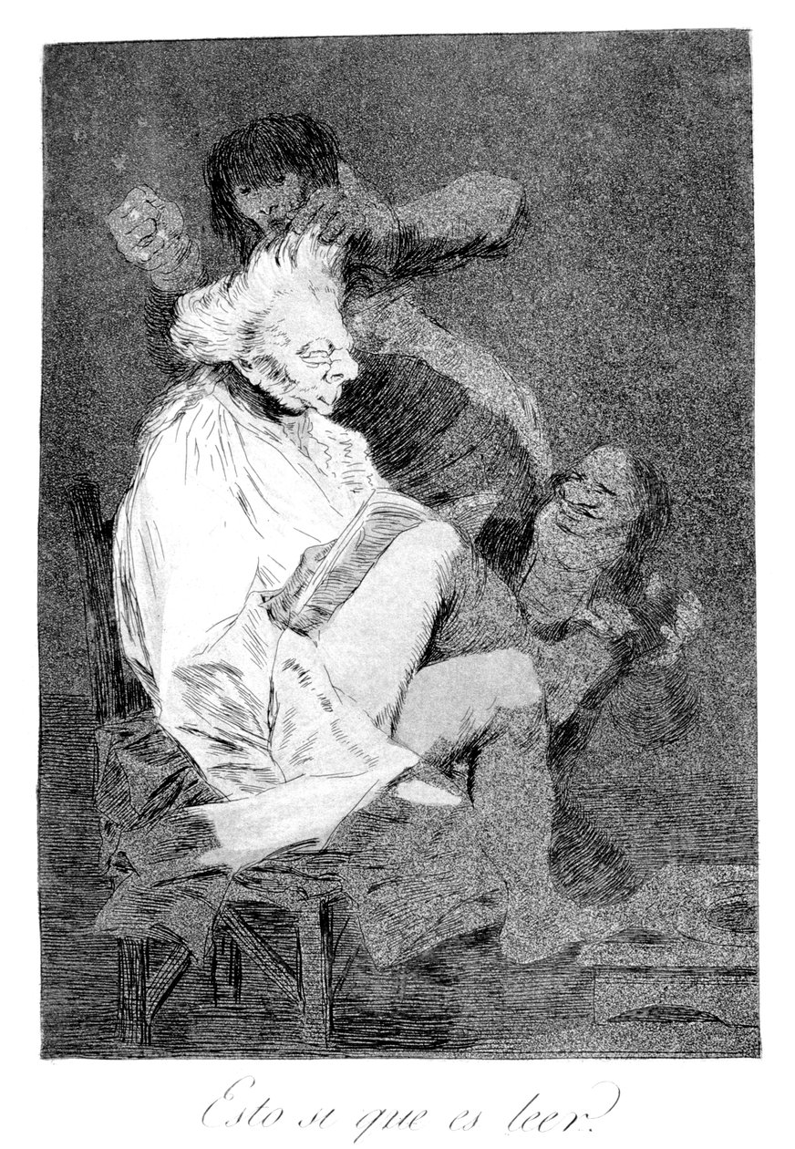 That Certainly is Being Able to Read by Francisco de Goya