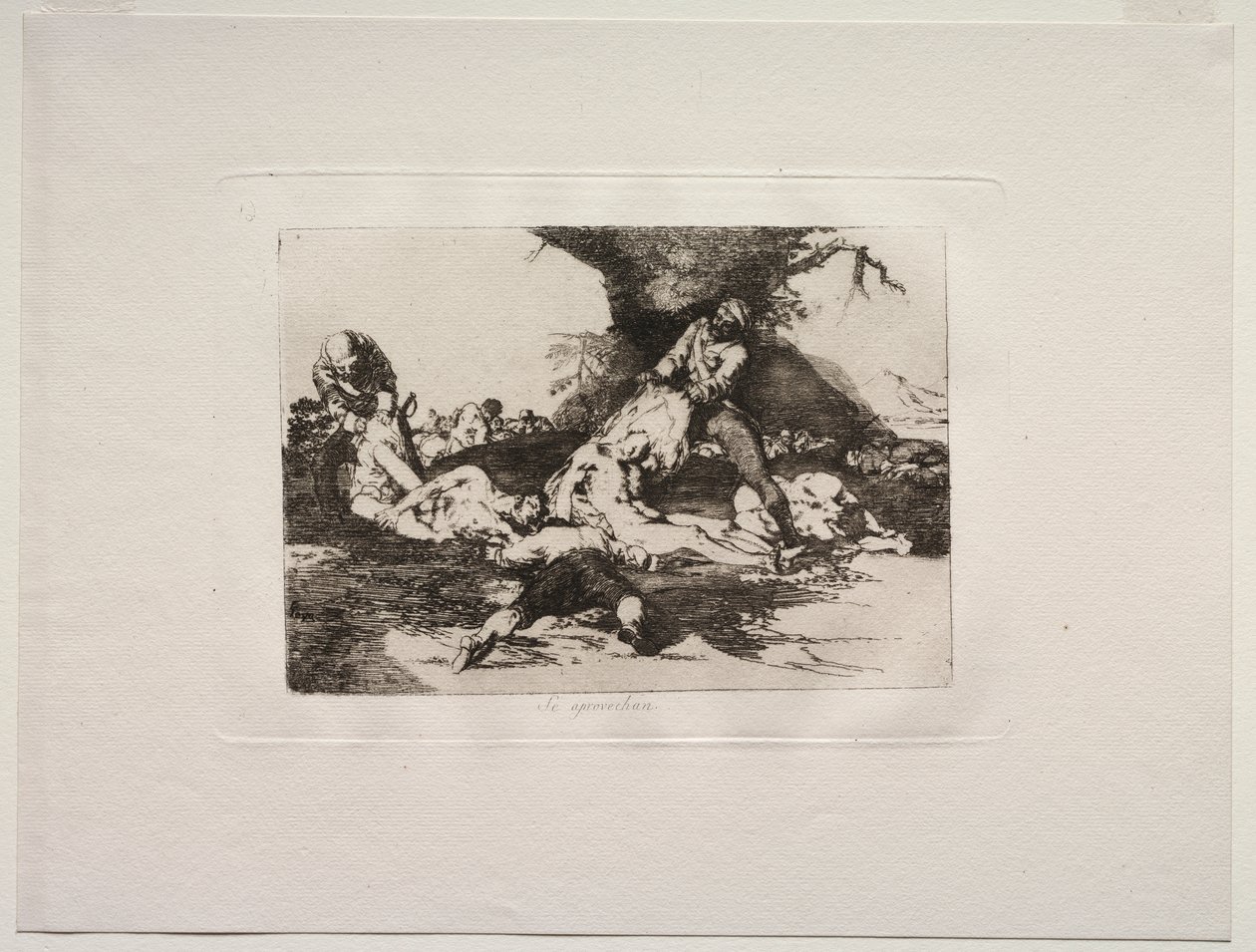 The Horrors of War: They Make Use of Them by Francisco de Goya