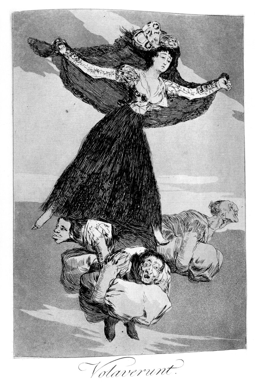 They Have Flown, 1799 by Francisco de Goya