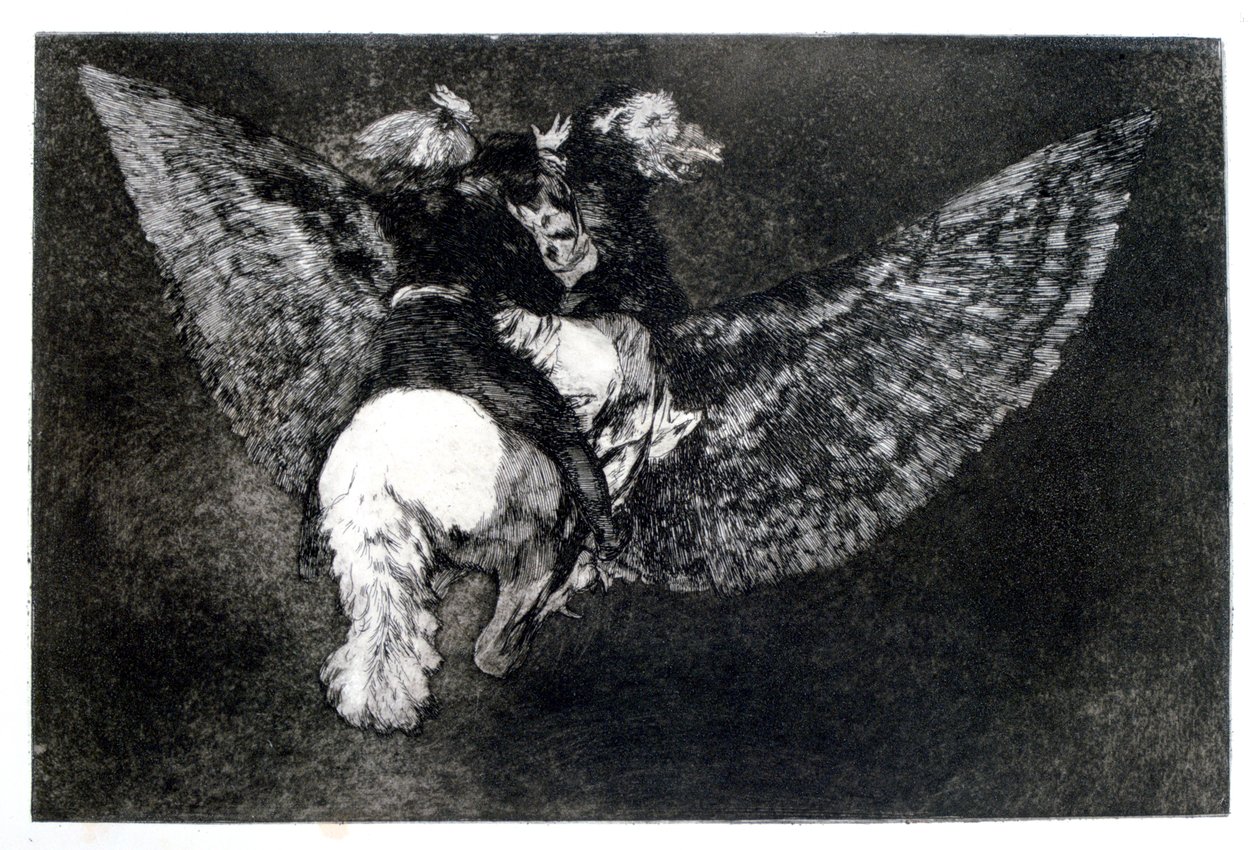 Winged Nonsense by Francisco de Goya