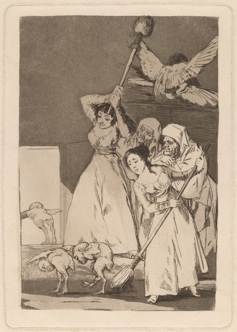 There They Go Plucked by Francisco de Goya