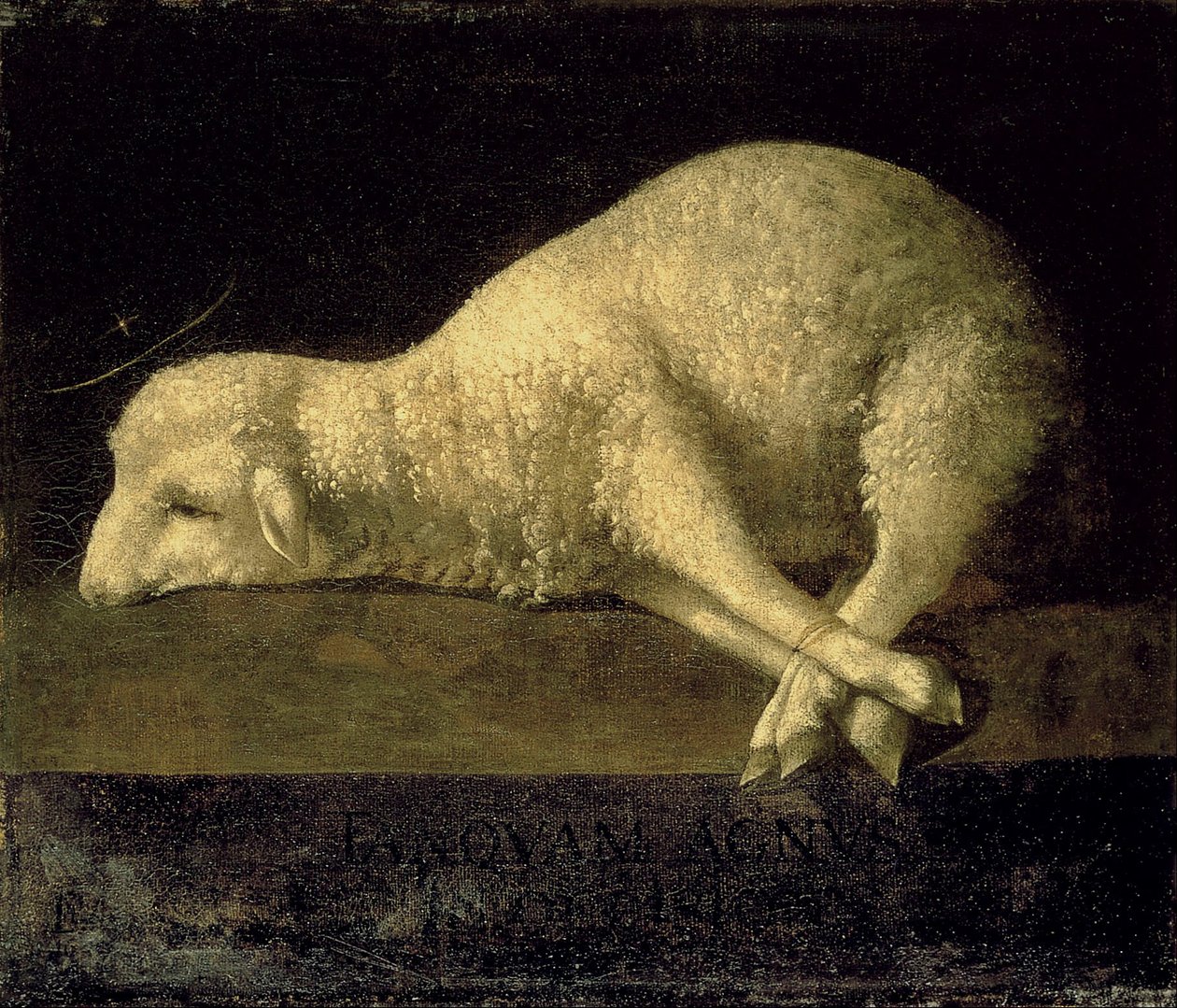 Lamb of God by Francisco de Zurbaran