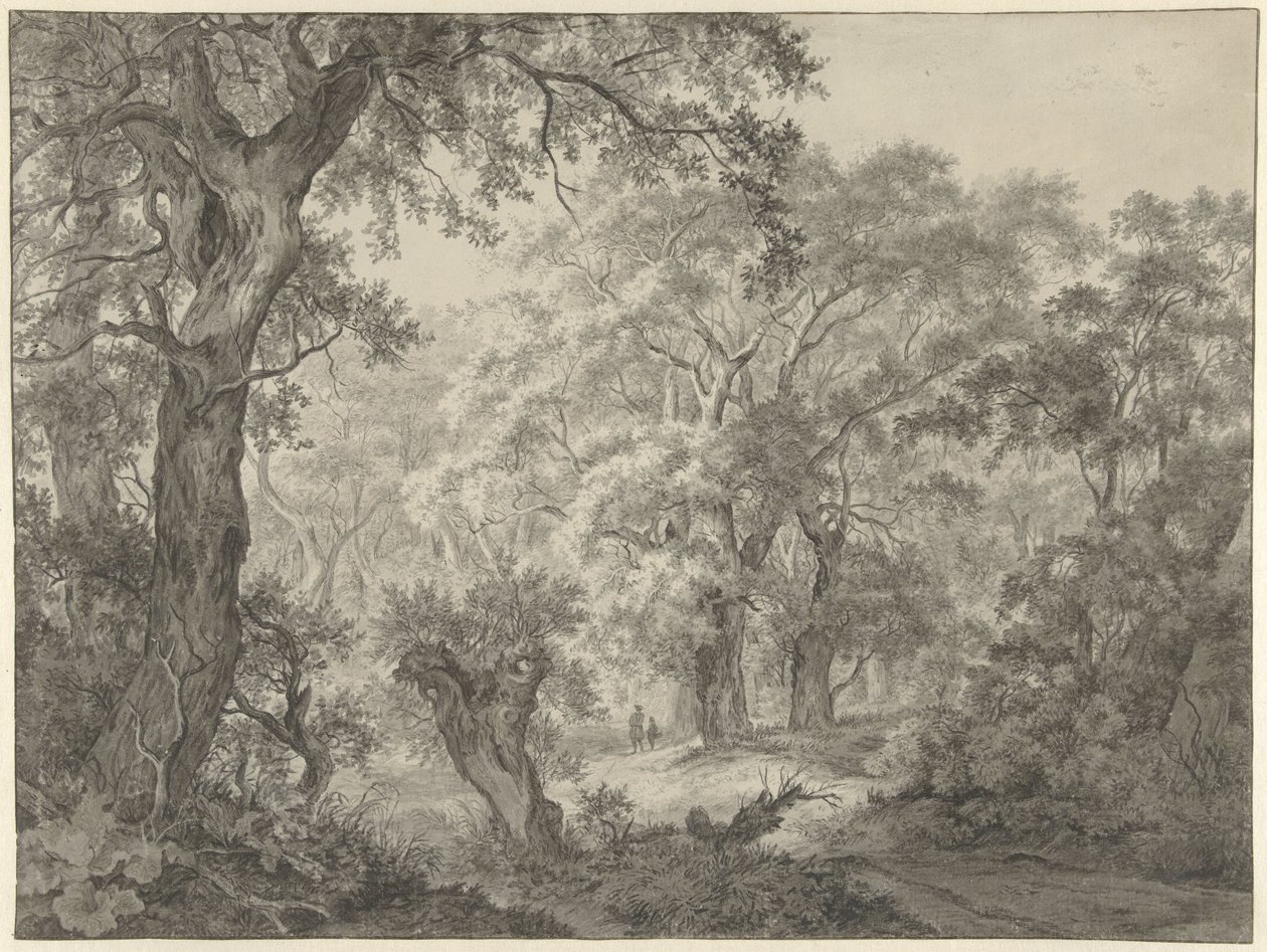 Forest Landscape by Franciscus Andreas Milatz