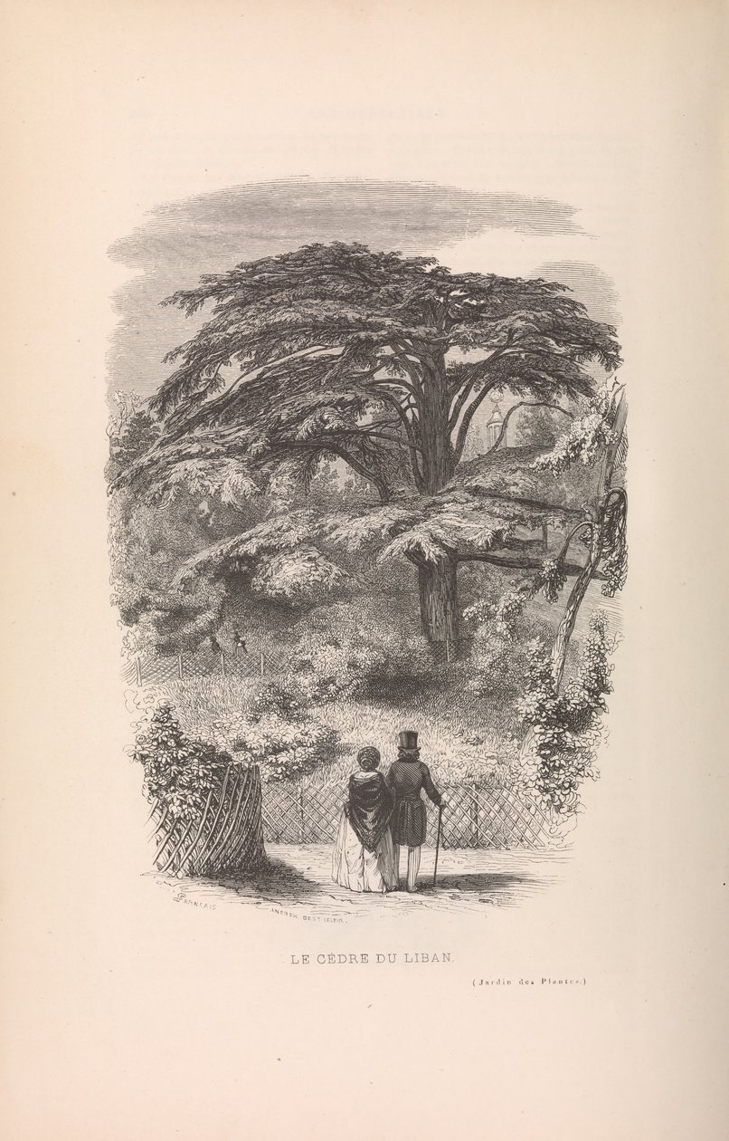 Le Jardin des Plantes, Descriptions et Moeurs des Mammiferes by Francois Boitard