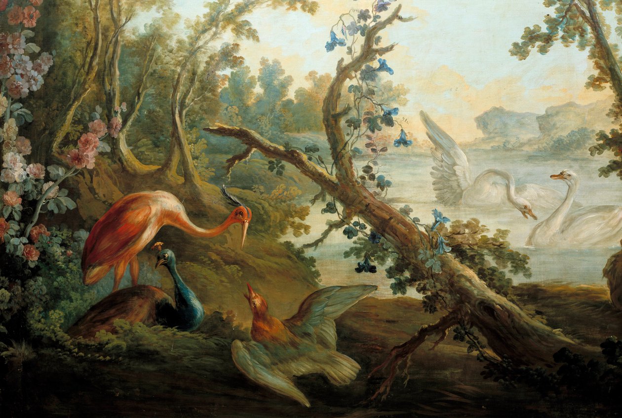 Swans and peacocks by François Boucher