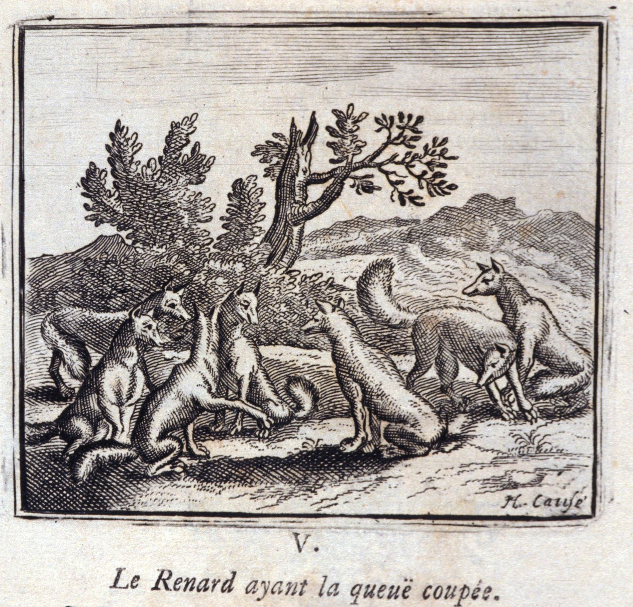 Illustration from the 