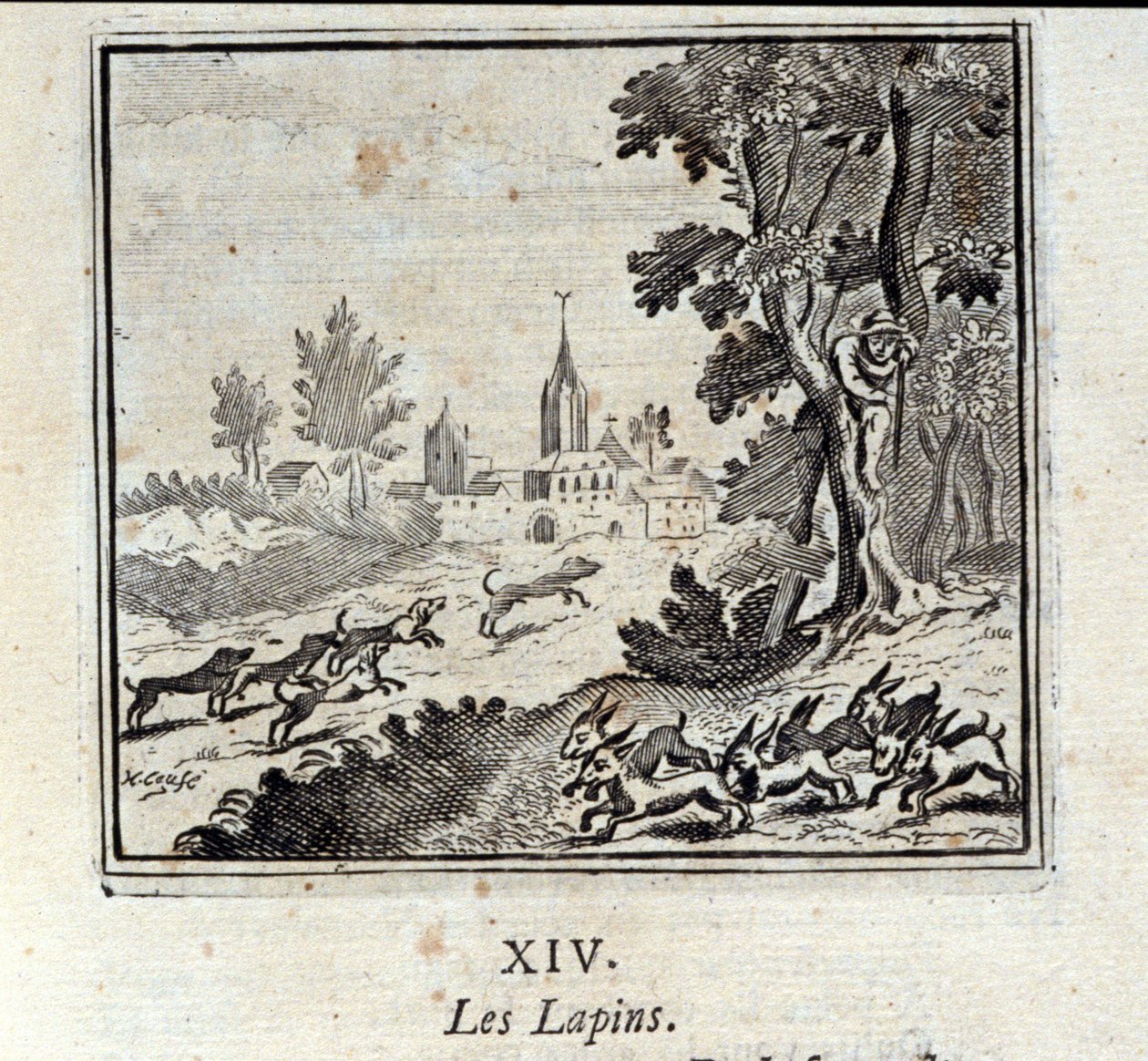 Rabbits (Illustration by François Chauveau) by Francois Chauveau