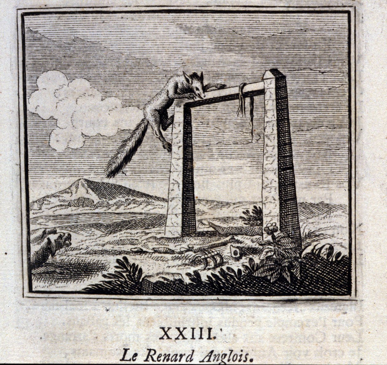 The English Fox. Fables by Jean de La Fontaine (1621-95). Illustration by François Chauveau (1613-1676). Edition of 1728 by Francois Chauveau