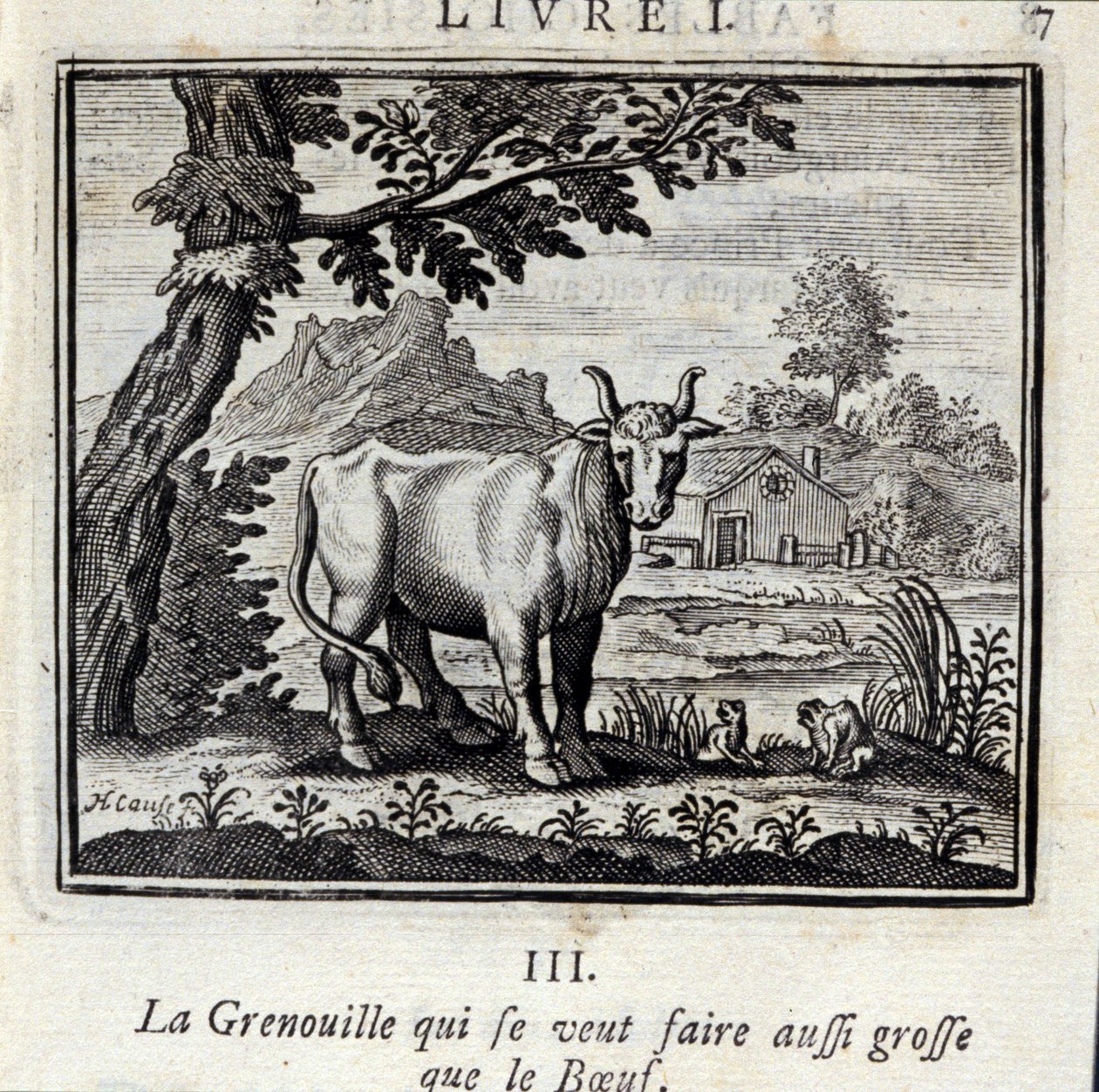 The Frog who wants to get as big as the Beef (Illustration by François Chauveau) by Francois Chauveau