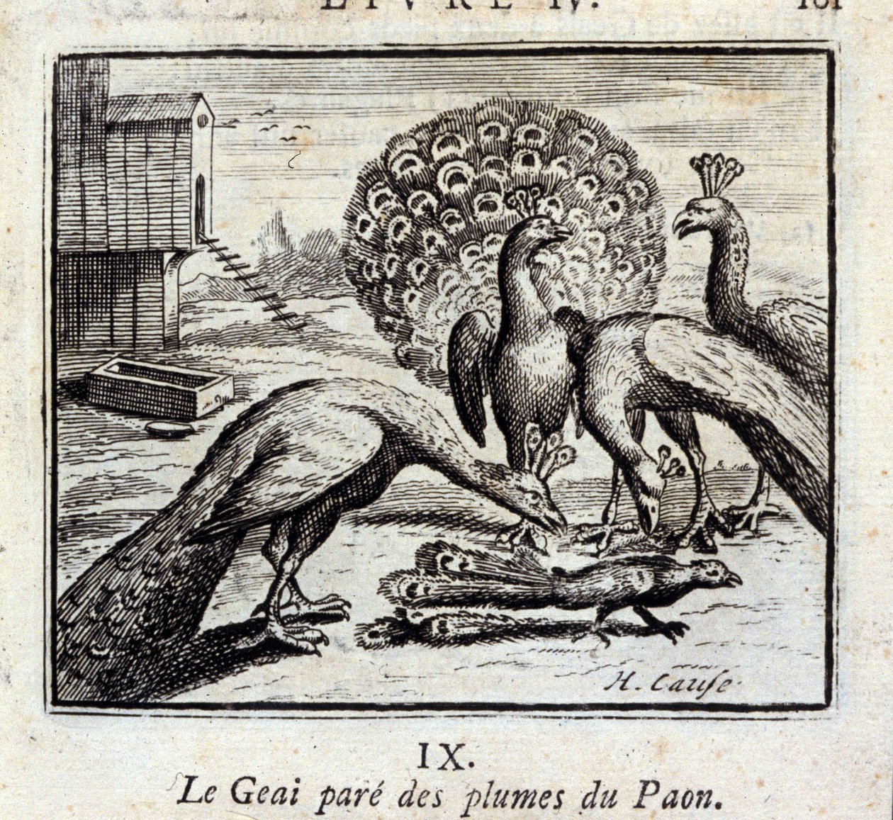 The Jay Adorns Peacock Feathers by Francois Chauveau