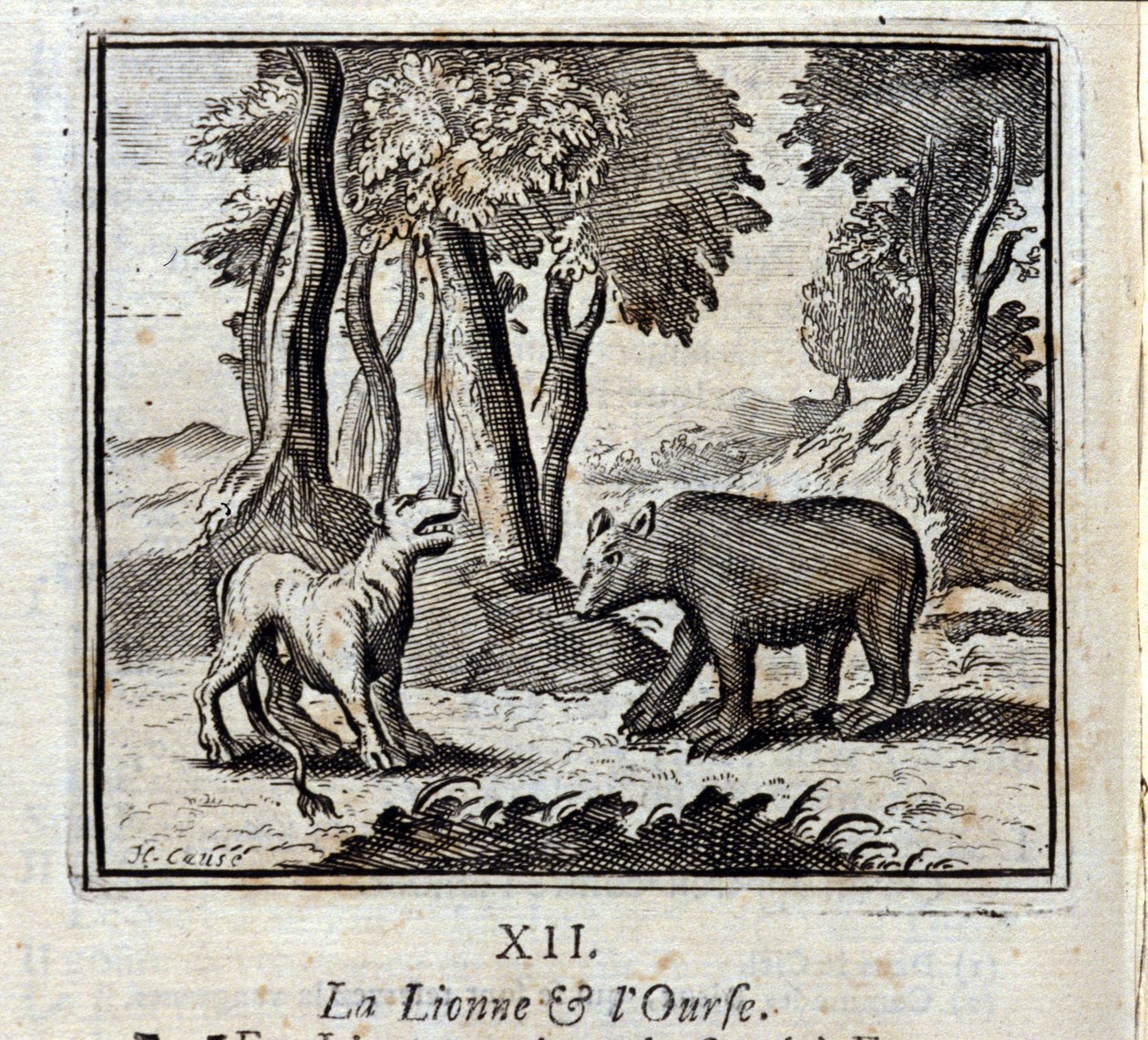 The Lioness and the Bear by Francois Chauveau
