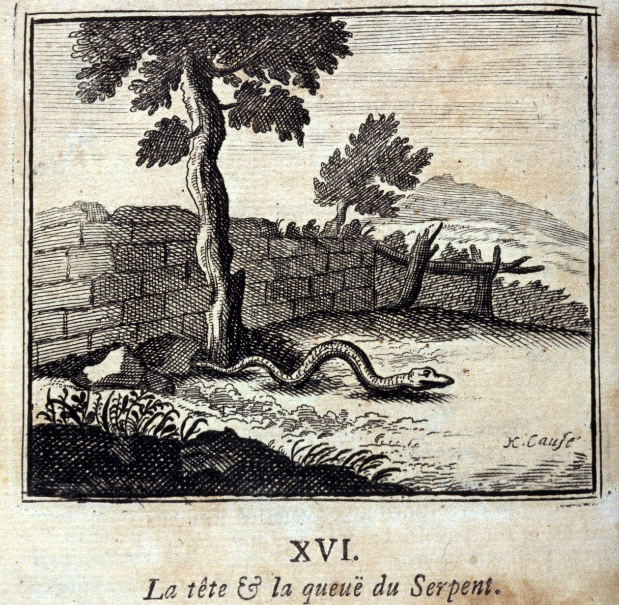 The head and tail of the Snake. Fables by Jean de La Fontaine (1621-95). Illustration by François Chauveau (1613-1676). Edition of 1728 by Francois Chauveau
