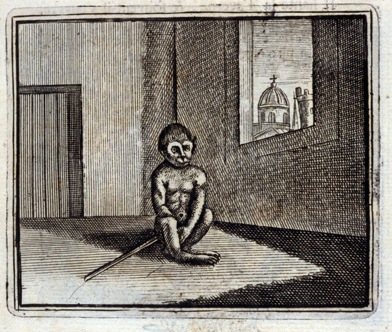 The Monkey by Francois Chauveau