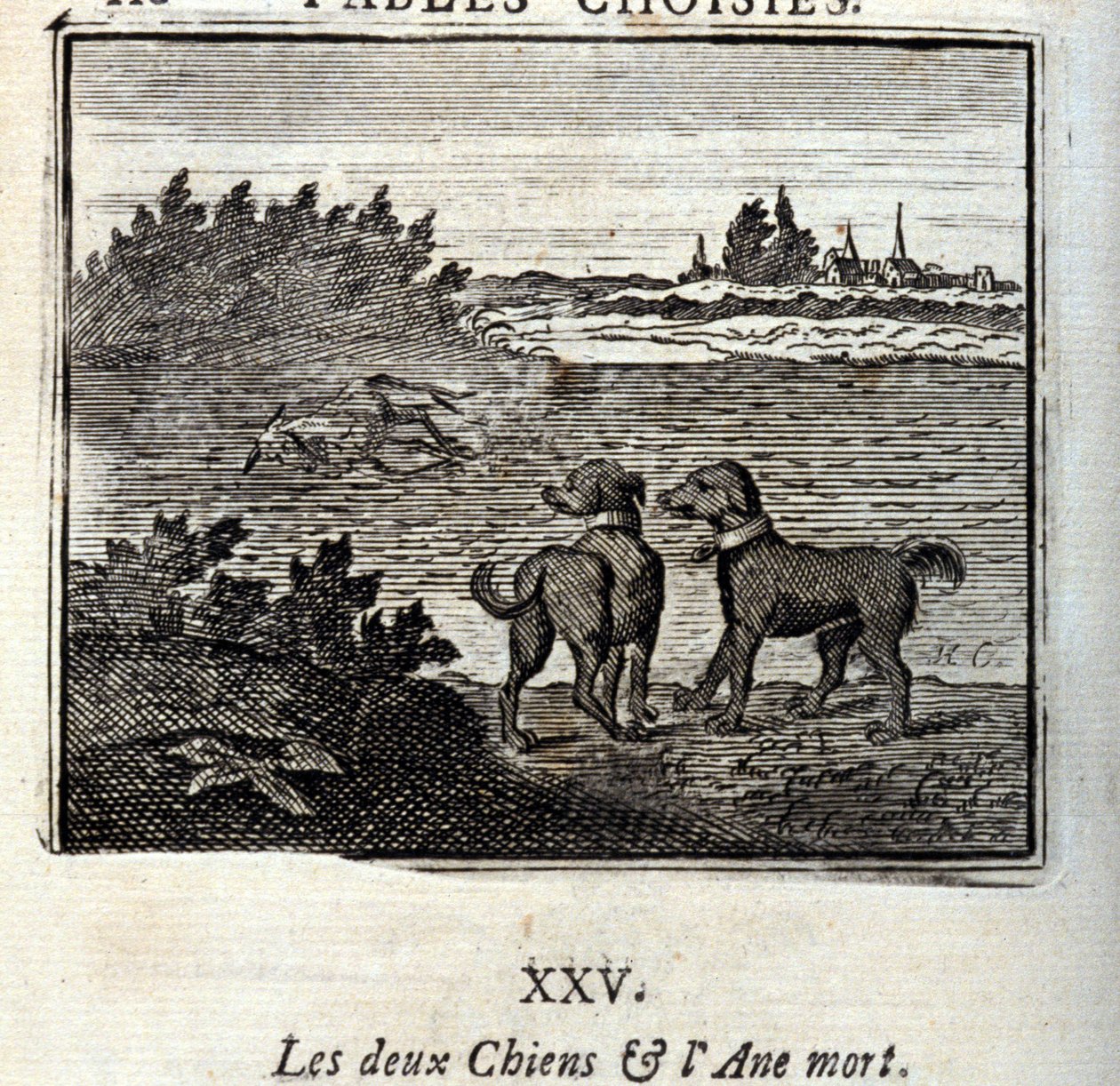 The two Dogs and the Dead Donkey. Fables by Jean de La Fontaine (1621-95). Illustration by François Chauveau (1613-1676). Edition of 1728 by Francois Chauveau