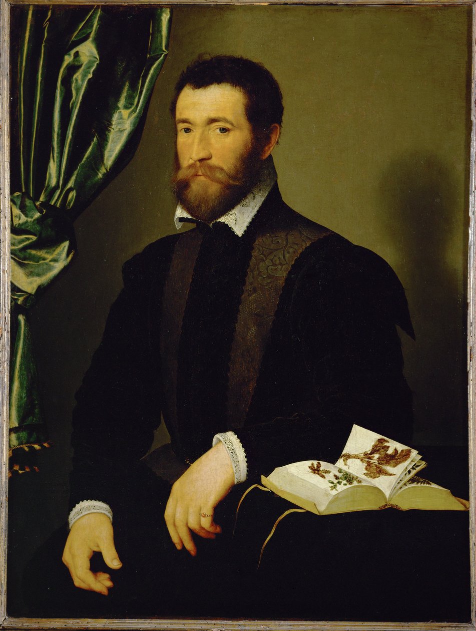 Pierre Quthe, Friend of Francois Clouet, Humanist and Pharmacist by François Clouet